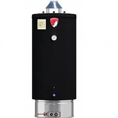 Водонагреватель газовый Federica Bugatti INOX WH200